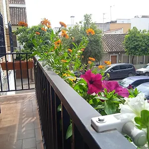  Appartement Casa Violeta